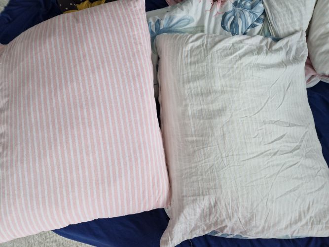 Ewelina, Daleszyce Ewelina, Daleszyce