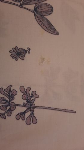 Aleksandra, Murowana Goślina Aleksandra, Murowana Goślina