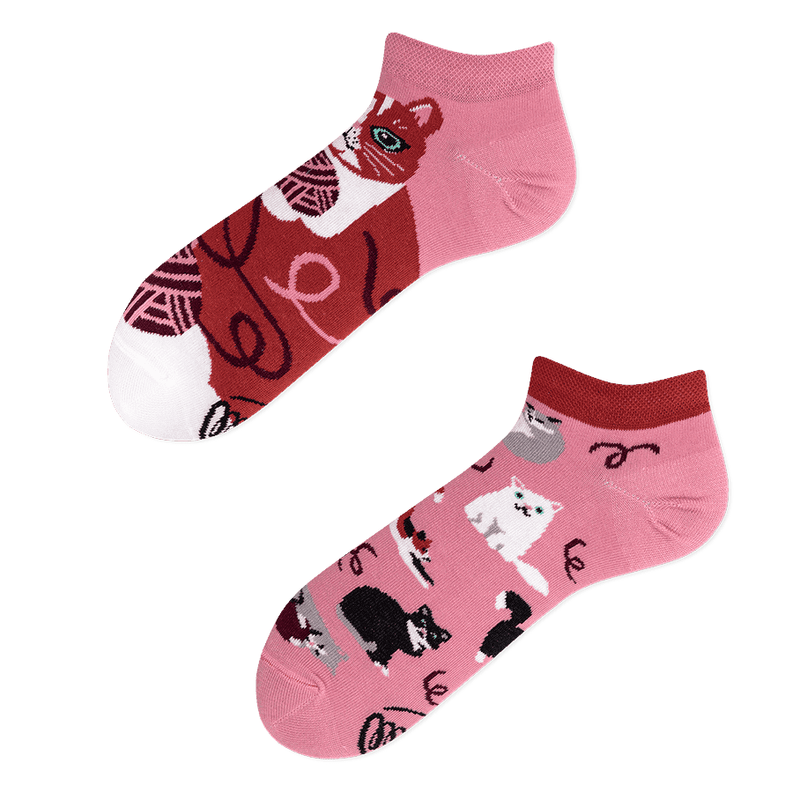 Skarpetki stopki PLAYFUL CAT LOW Many Mornings 39-42
